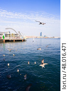 Rambla Maritim, Barcelona, Spain (2017 год). Стоковое фото, фотограф Anastasy Yarmolovich / Фотобанк Лори