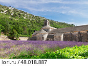 Abbey Senanque and Lavender field, France (2015 год). Стоковое фото, фотограф Anastasy Yarmolovich / Фотобанк Лори