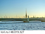 Троицкий мост. Автодорожный металлический разводной мост через Неву. Санкт-Петербург (2017 год). Стоковое фото, фотограф Сергей Елизарьев / Фотобанк Лори