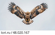 A golden eagle glides effortlessly above a beautiful landscape under a bright, clear sky. Стоковое AI-изображение, AI-художник Данила Большаков / Фотобанк Лори