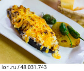 Stuffed with meat tasty eggplant baked with bechamel sauce. Стоковое фото, фотограф Яков Филимонов / Фотобанк Лори