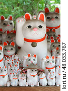 Tokyo, Japan - Sep 30 2024, A close-up view of many multi-sized white beckoning cat figure of Maneki neko with red ears and noses displayed at Gotokuji Temple, without people, at daytime, Tokyo, Japan. Стоковое фото, фотограф Сергей Богомяко / Фотобанк Лори