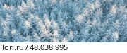 Beautiful winter forest landscape. Top view of snow-covered larch trees. Frozen trees in the snow. Aerial view of amazing northern nature. Cold snowy winter weather. Cold snap. Panoramic background. Стоковое фото, фотограф Андрей Степанов / Фотобанк Лори