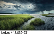 estuary salt marsh landscape ai generated. Стоковое AI-изображение, AI-художник Vectorwin / Фотобанк Лори
