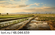 fertile alluvial plains landscape ai generated. Стоковое AI-изображение, AI-художник Vectorwin / Фотобанк Лори