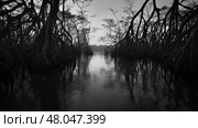 biodiversity mangrove forest landscape ai generated. Стоковое AI-изображение, AI-художник Vectorwin / Фотобанк Лори