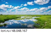 ducks prairie pothole marsh ai generated. Стоковое AI-изображение, AI-художник Vectorwin / Фотобанк Лори