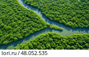 ecosystem mangrove forest landscape ai generated. Стоковое AI-изображение, AI-художник Vectorwin / Фотобанк Лори