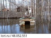 Весенний паводок или наводнение в деревне (2013 год). Редакционное фото, фотограф Ирина Курносова / Фотобанк Лори
