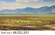 river alluvial plains landscape ai generated. Стоковое AI-изображение, AI-художник Vectorwin / Фотобанк Лори