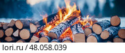 A crackling bonfire in a snowy landscape: Warmth and winter adventure await. Стоковое AI-изображение, AI-художник Данила Большаков / Фотобанк Лори