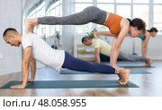 Couples yoga classes in gym. Men and women meditate together in various yoga poses. Стоковое фото, фотограф Яков Филимонов / Фотобанк Лори