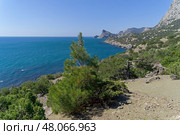Красивый морской пейзаж. Крым, побережье между Судаком и Новым Светом, вид в сторону Нового Света. Солнечный день в апреле. Стоковое фото, фотограф Сергей Рыбин / Фотобанк Лори