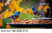 avian blue grosbeak ai generated. Стоковое AI-изображение, AI-художник Vectorwin / Фотобанк Лори