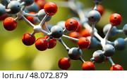 organic carbon atom ai generated. Стоковое AI-изображение, AI-художник Vectorwin / Фотобанк Лори