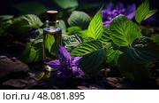 plant patchouli oil ai generated. Стоковое AI-изображение, AI-художник Vectorwin / Фотобанк Лори