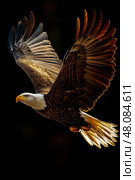A bald eagle glides through the air, showcasing its stunning wingspan against a backdrop of fading light, embodying freedom and strength. Стоковое AI-изображение, AI-художник Данила Большаков / Фотобанк Лори
