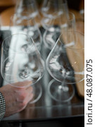 Clean wine glasses are on the table of a special wine cabinet, stylish table setting, ice, bottle of sparkling wine, light from window, decoder and degasser. Стоковое фото, фотограф Vladimir Drozdin / Фотобанк Лори