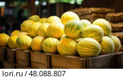 stall yellow seedless watermelon ai generated. Стоковое AI-изображение, AI-художник Vectorwin / Фотобанк Лори