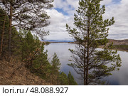 Пейзаж с изображением реки в тайге. Стоковое фото, фотограф Алексей Линник / Фотобанк Лори