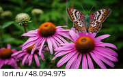pollinator isolated coneflower butterfly ai generated. Стоковое AI-изображение, AI-художник Vectorwin / Фотобанк Лори