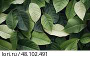 greenery leaves pattern ai generated. Стоковое AI-изображение, AI-художник Vectorwin / Фотобанк Лори