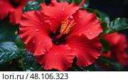bougainvillea red tropical flowers ai generated. Стоковое AI-изображение, AI-художник Vectorwin / Фотобанк Лори