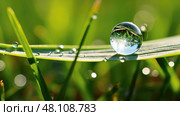 refract clear water drops ai generated. Стоковое AI-изображение, AI-художник Vectorwin / Фотобанк Лори