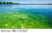 eutrophication water growth ai generated. Стоковое AI-изображение, AI-художник Vectorwin / Фотобанк Лори