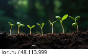 growth plant sequence ai generated. Стоковое AI-изображение, AI-художник Vectorwin / Фотобанк Лори