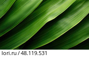 unfurling banana leaves background. Стоковое AI-изображение, AI-художник Vectorwin / Фотобанк Лори