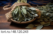 smudging sage leaves ai generated. Стоковое AI-изображение, AI-художник Vectorwin / Фотобанк Лори