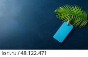 Blank Tag and green palm leaf on a dark blue background during daylight. Пустой тег и зеленый пальмовый лист на темно-синем фоне при дневном свете. Стоковое AI-изображение, AI-художник Katsiaryna Repich / Фотобанк Лори