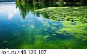pond blue green algae ai generated. Стоковое AI-изображение, AI-художник Vectorwin / Фотобанк Лори