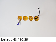 There are four electrical boxes built into the wall, with wires sticking out of them. Стоковое фото, фотограф Виктория Тельминова / Фотобанк Лори
