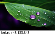 lavender purple color drop ai generated. Стоковое AI-изображение, AI-художник Vectorwin / Фотобанк Лори