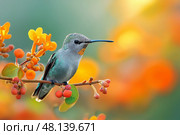 Colorful hummingbird perched on vibrant flowers in natural habitat, copy space. Красочная колибри, сидящая на ярких цветах в естественной среде обитания, копия. Стоковое AI-изображение, AI-художник Katsiaryna Repich / Фотобанк Лори