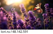 vibrant butterflies purple ai generated. Стоковое AI-изображение, AI-художник Vectorwin / Фотобанк Лори