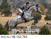 A woman is riding a horse and jumping over a fence. Стоковое AI-изображение, AI-художник Ярославский Максим / Фотобанк Лори