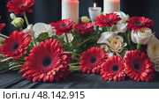 A tribute table at a remembrance service, elegantly decorated with vibrant red roses and gerbera daisies on a dark velvet background, evoking solemnity and beauty. Стоковое AI-видео, аниматор Ирина Старикова / Фотобанк Лори