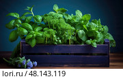 mint fresh herbs on dark blue ai generated. Стоковое AI-изображение, AI-художник Vectorwin / Фотобанк Лори