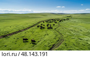 livestock regenerative agriculture ai generated. Стоковое AI-изображение, AI-художник Vectorwin / Фотобанк Лори