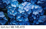 clustered blue plants ai generated. Стоковое AI-изображение, AI-художник Vectorwin / Фотобанк Лори