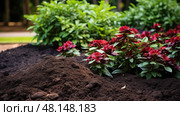 soil dark brown mulch ai generated. Стоковое AI-изображение, AI-художник Vectorwin / Фотобанк Лори