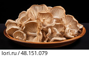umami top champignon mushroom ai generated. Стоковое AI-изображение, AI-художник Vectorwin / Фотобанк Лори