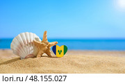 Beautiful beach in the Saint Vincent and the Grenadines. Flag of Saint Vincent and the Grenadines in the shape of a heart and shells on a sandy beach. Стоковое фото, фотограф Никита Бурденков / Фотобанк Лори