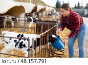 Young girl farmer feeding calves from bucket in stall outdoors. Стоковое фото, фотограф Яков Филимонов / Фотобанк Лори