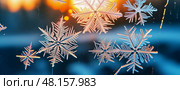 Intricate frost patterns formed by snowflakes dance upon the windowpane, illuminated by golden sunlight pouring in during a crisp winter morning, creating a magical atmosphere Generative AI. Стоковое AI-изображение, AI-художник Юлия Петровская / Фотобанк Лори