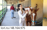 Young woman combing mane of horse. Стоковое видео, видеограф Яков Филимонов / Фотобанк Лори