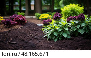 landscaped dark brown mulch ai generated. Стоковое AI-изображение, AI-художник Vectorwin / Фотобанк Лори